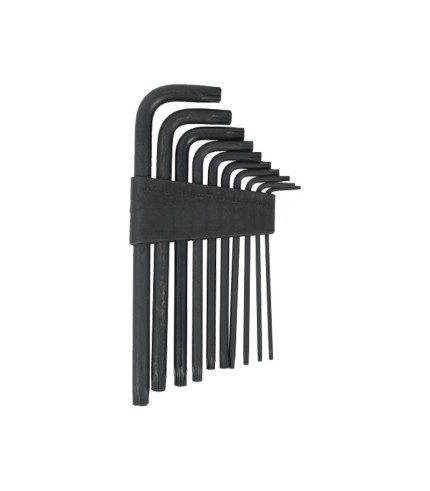 10 Piece Torx Allen Key Set | T9-T50