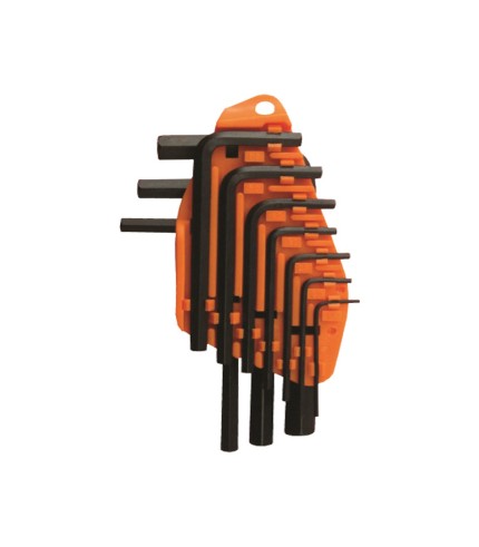 10 Pcs Hex Allen Key Set | T9-T50