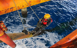 Fall Arrest Protection